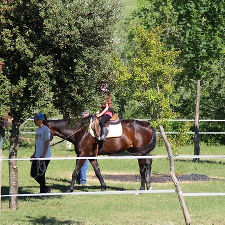 Tenuta Il Giogo