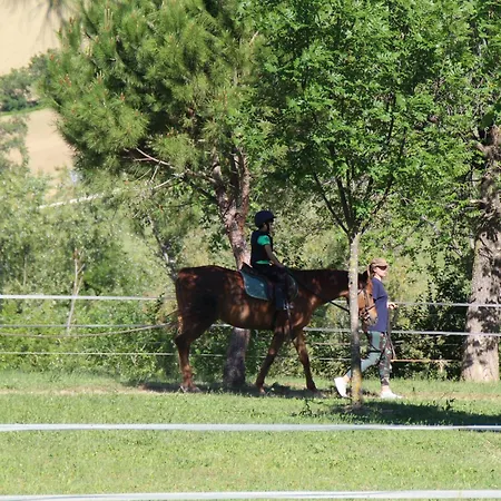 Tenuta Il Giogo Kır Evi *
